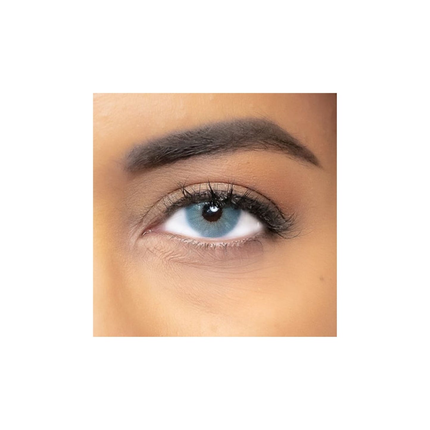 LENTILLES NATURELLES