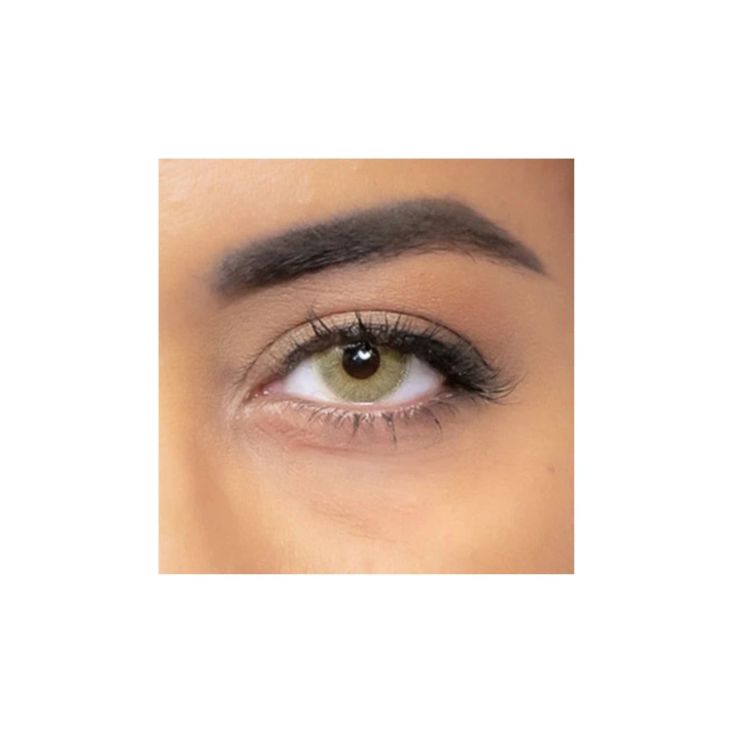 LENTILLES NATURELLES