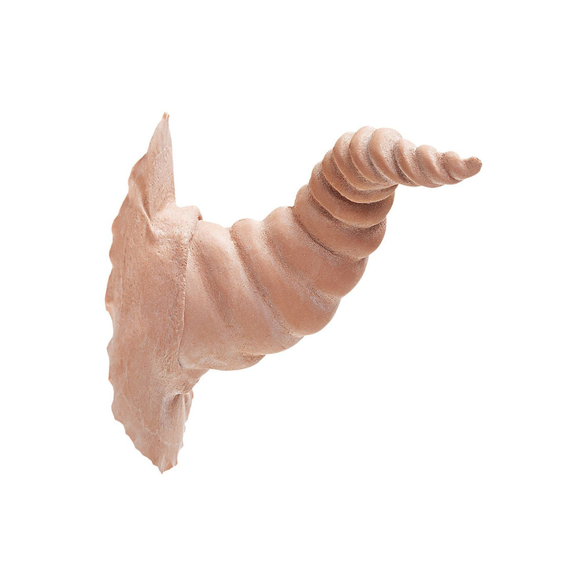 PROTHÈSES CORNES LATEX