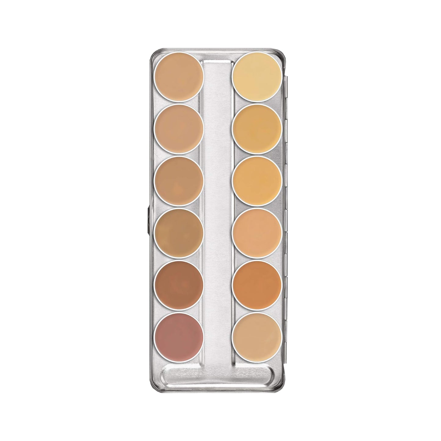 PALETTE DERMA 12 COULEURS