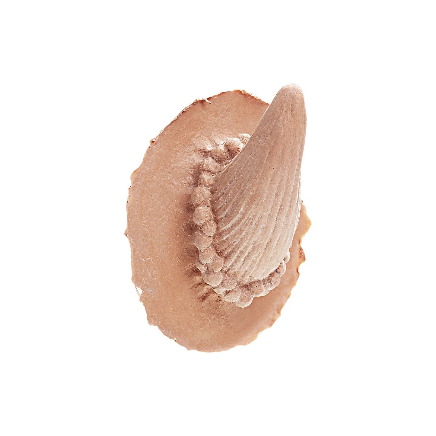 PROTHÈSES CORNES DIABLE EN LATEX