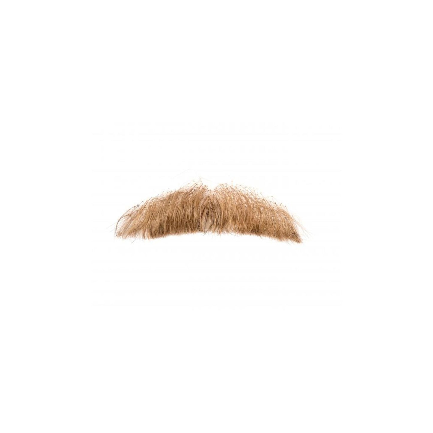 MOUSTACHE COURTE