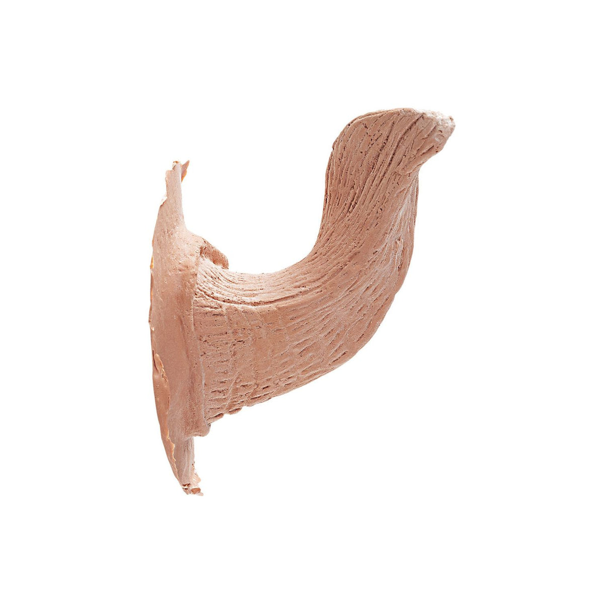 PROTHÈSES CORNES LATEX