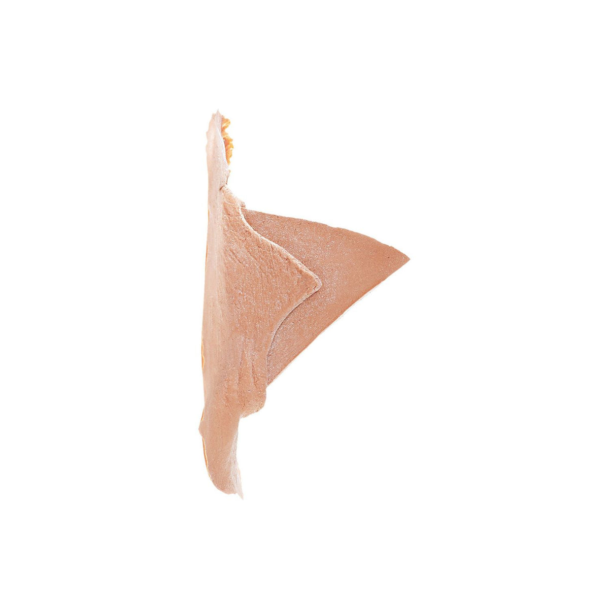 PROTHÈSES CORNES LATEX